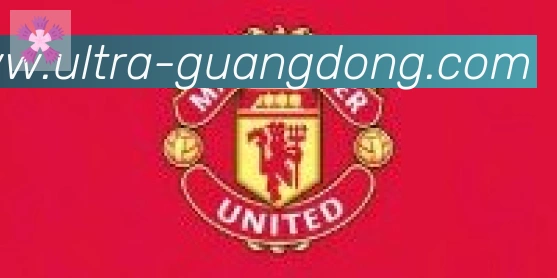 广东体彩合作伙伴